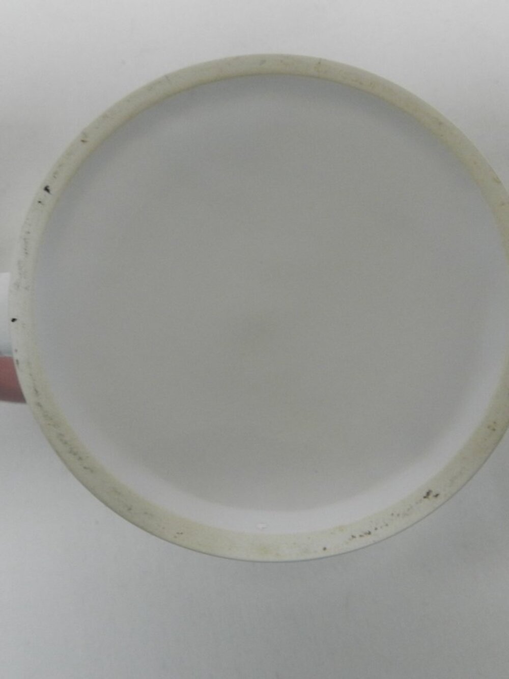Charleston, SC South Carolina Toile ceramic mug cup blue pink white 12 oz - Picture 8 of 8